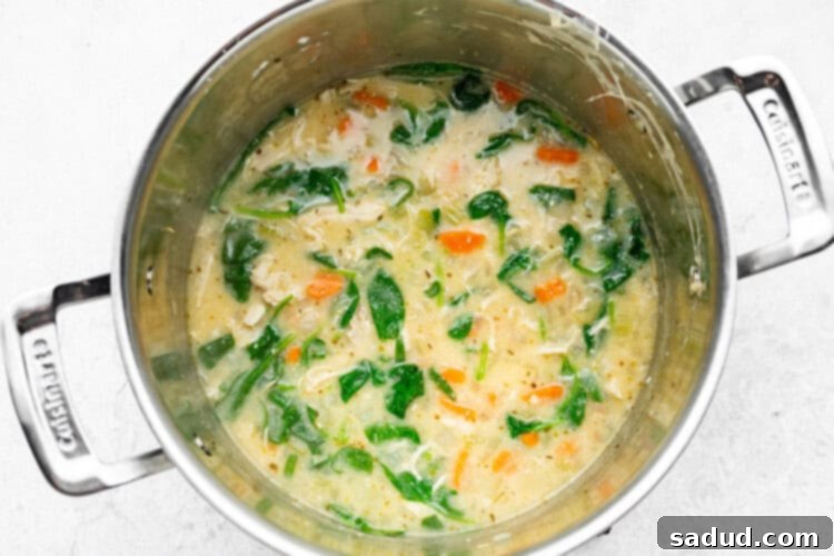 chicken florentine soup step 4