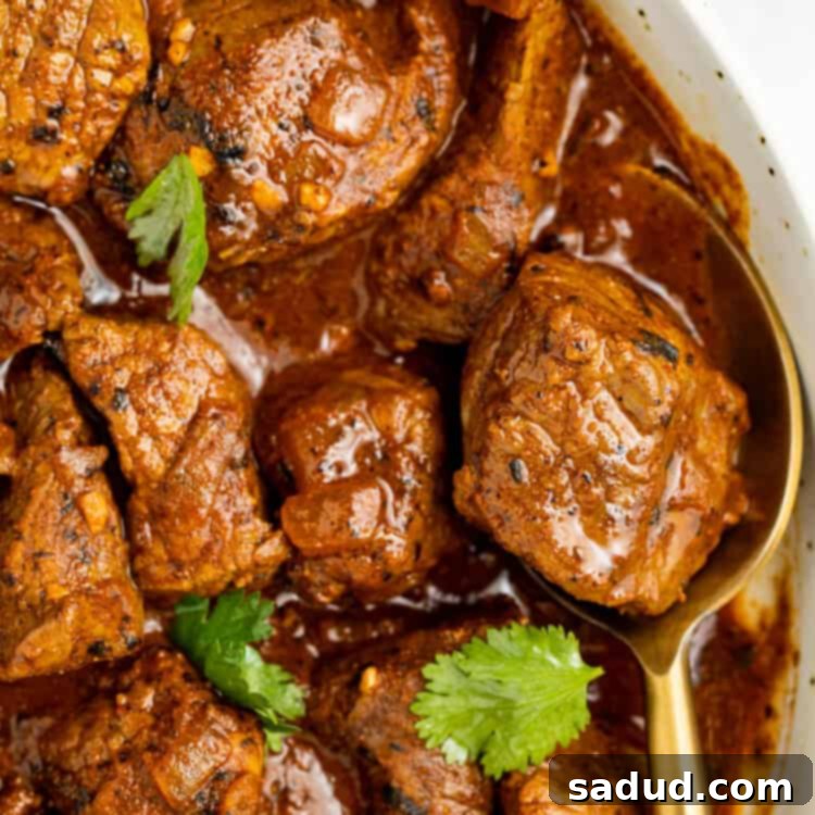 close-up overhead image of beef vindaloo, perfectly plated and ready to be enjoyed