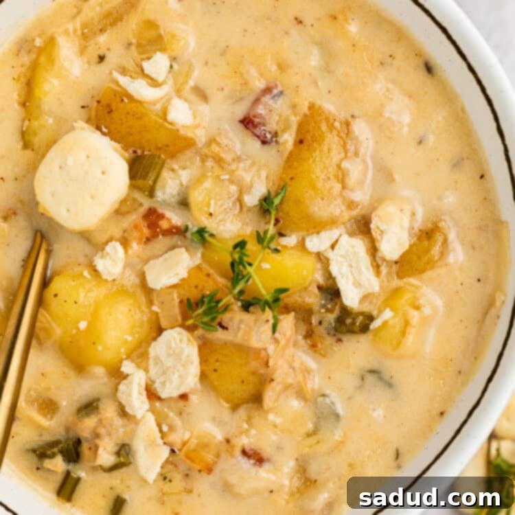 close-up overhead image of instant pot clam chowder