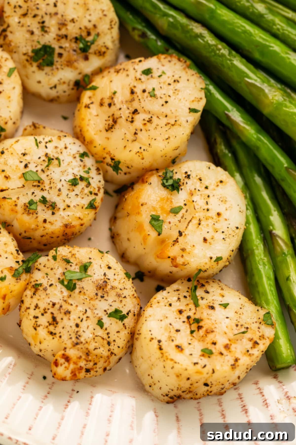 Fresh sea scallops ready for seasoning and air frying, showing their natural color and texture.