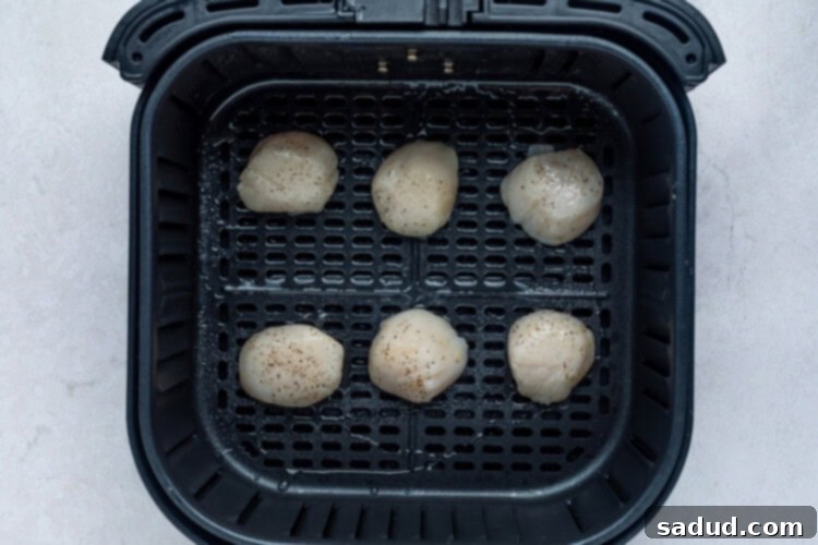 Step 2: Place seasoned scallops in a sprayed air fryer basket.