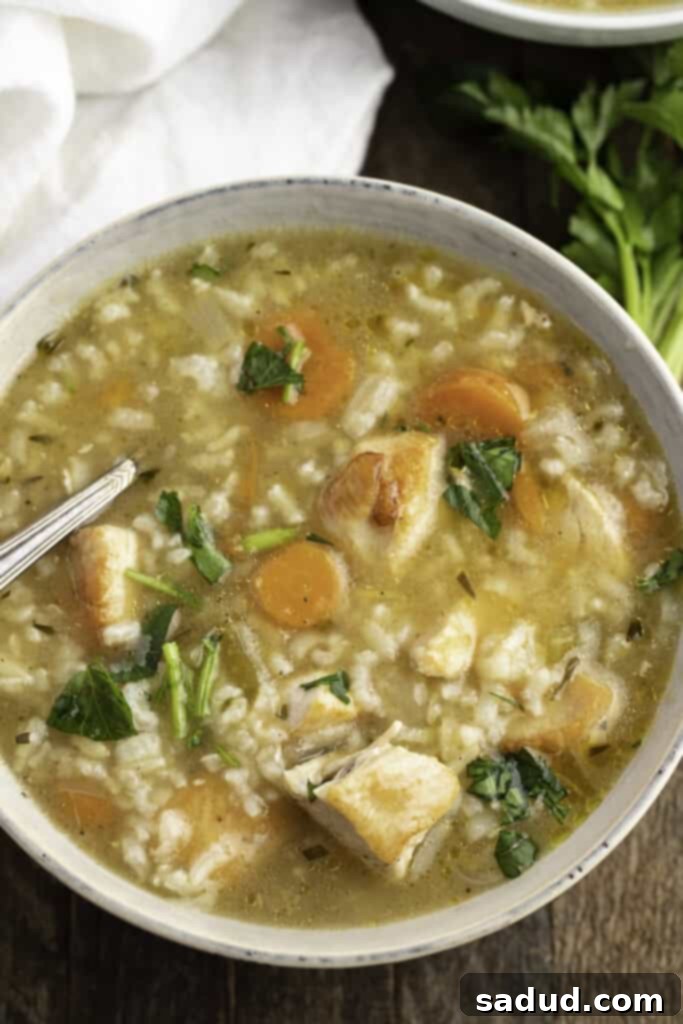 Overhead view of Instant Pot chicken and rice soup in a large soup bowl, garnished with fresh herbs.