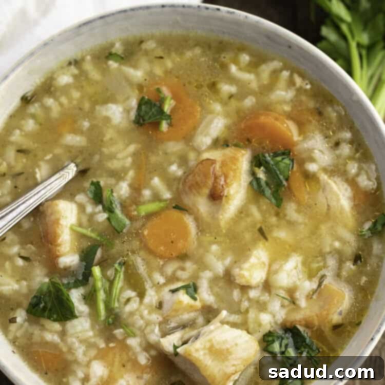 Overhead view of Instant Pot chicken and rice soup in a large soup bowl, ready to serve.