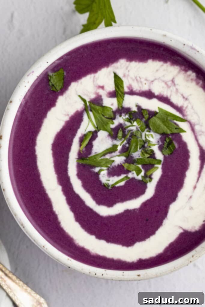 Overhead photo of a steaming bowl of purple red cabbage soup, elegantly swirled with a dollop of heavy cream, garnished with fresh herbs, sitting on a rustic wooden table.