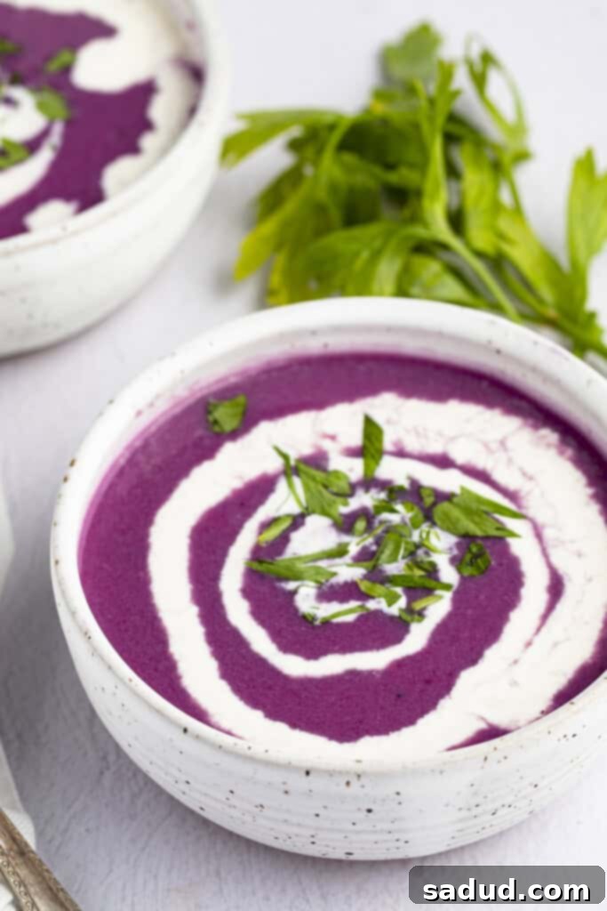 Angled photo of red cabbage soup with a heavy cream swirl in a white bowl, garnished with fresh dill, on a dark surface.