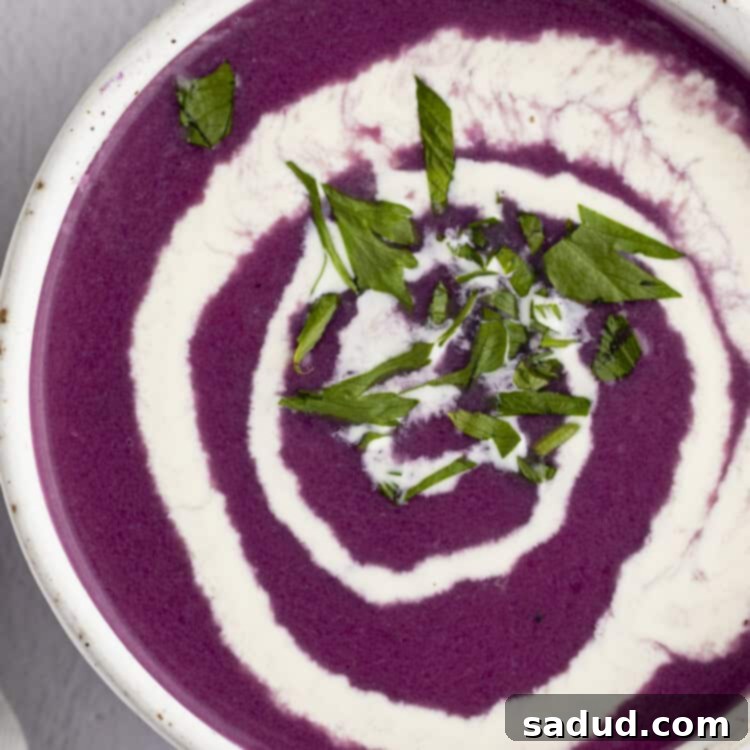 Overhead photo of a steaming bowl of purple red cabbage soup, elegantly swirled with a dollop of heavy cream, garnished with fresh herbs, ready to be served.