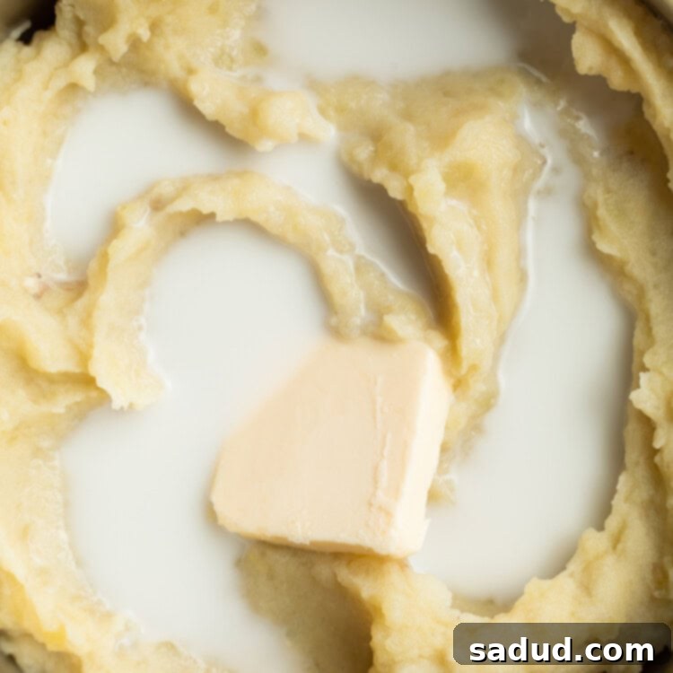 The Best Three Ways to Reheat Mashed Potatoes 5 close-up image of mashed potatoes, milk, and butter in a pot