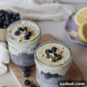 Lemon Blueberry Chia Pudding with Yogurt.