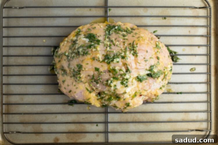 Turkey breast coated in garlic-herb butter sauce