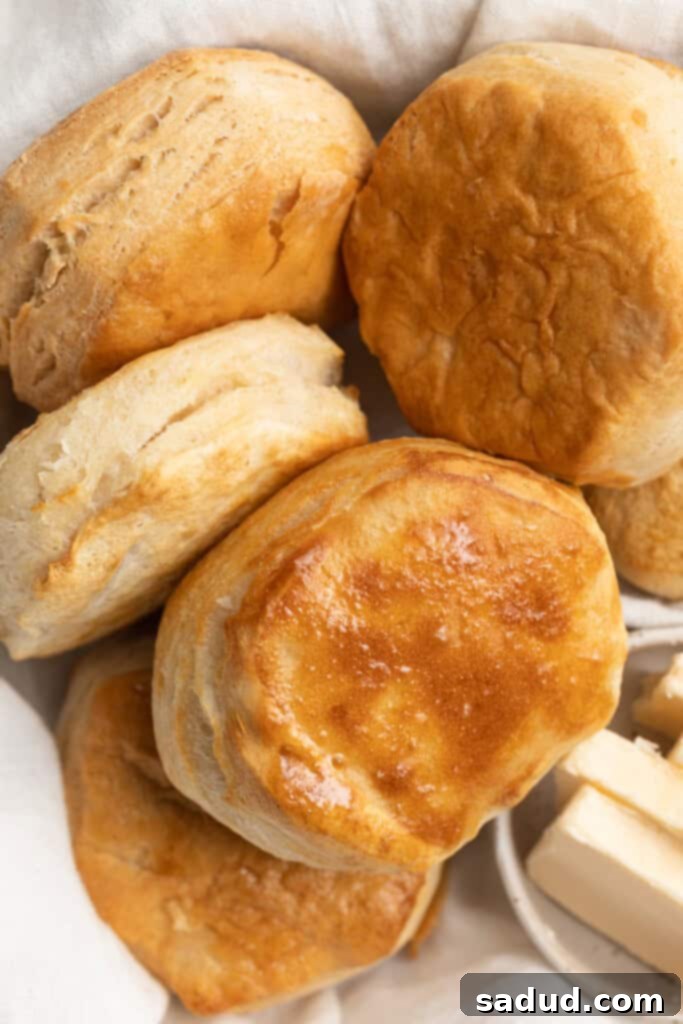 Crispy Golden Air Fryer Biscuits From Frozen 3 air fryer frozen biscuits in a basket with butter on the side