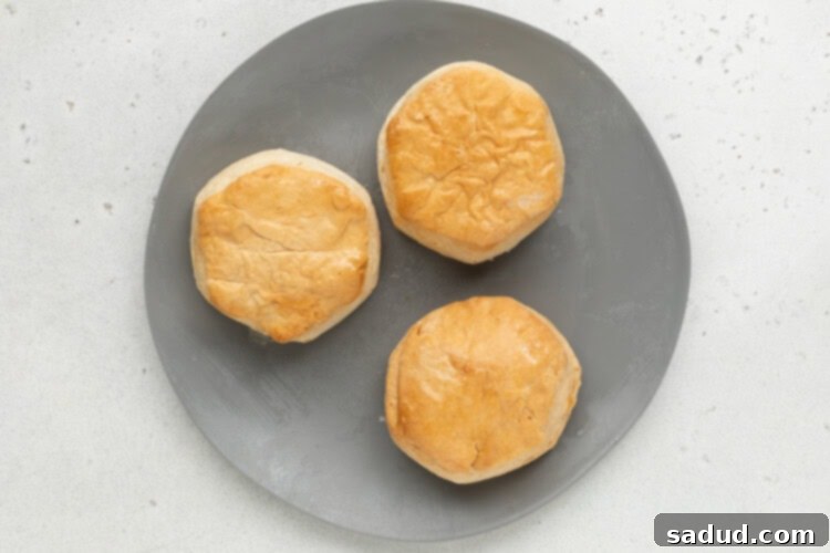 air fryer frozen biscuits step 2