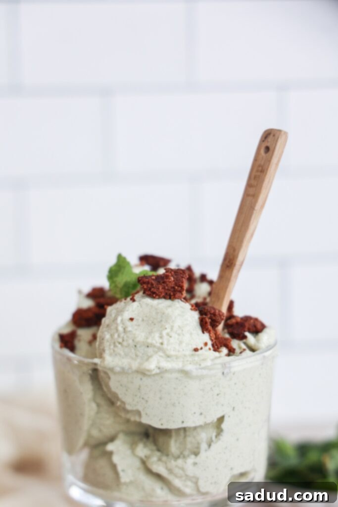 Mint chocolate ice cream with cookie crumble.