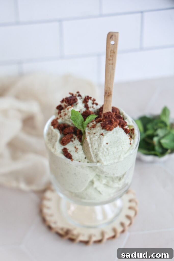 Mint chocolate ice cream with cookie crumble.