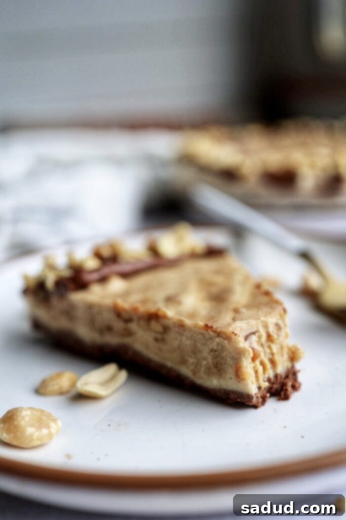 A close-up of a slice of the no-bake peanut butter tart showing the chocolate crust, creamy peanut butter filling, and chocolate drizzle.