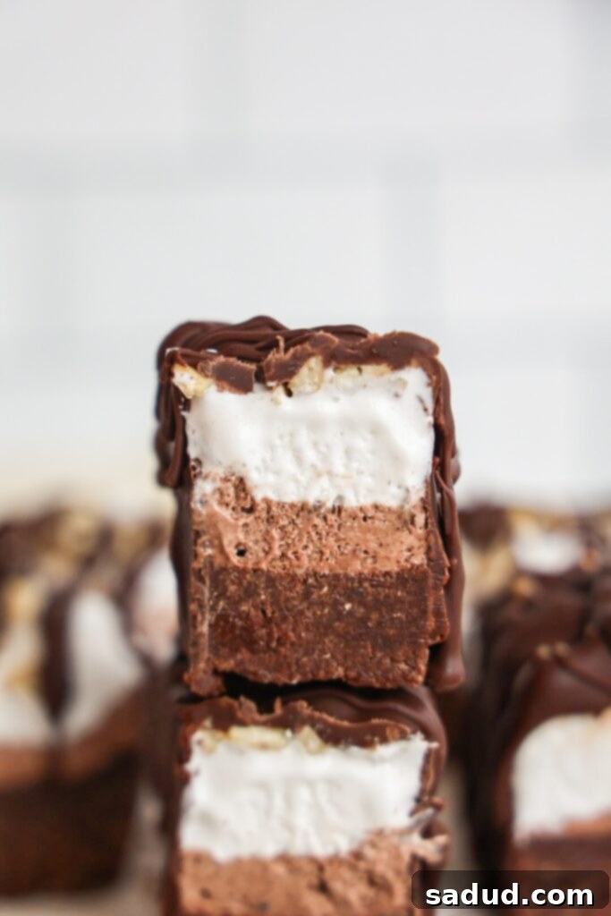 Delicious No-Bake Ice Cream Brownie Bites topped with chocolate drizzle