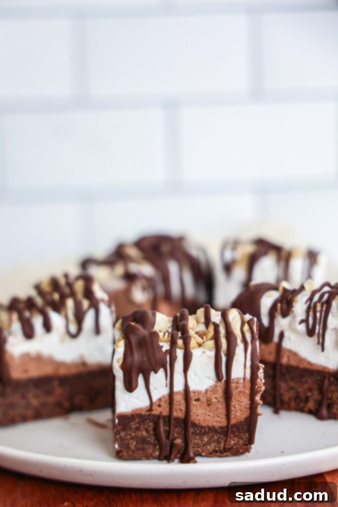 Ice Cream Brownie Bites with a tempting chocolate drizzle