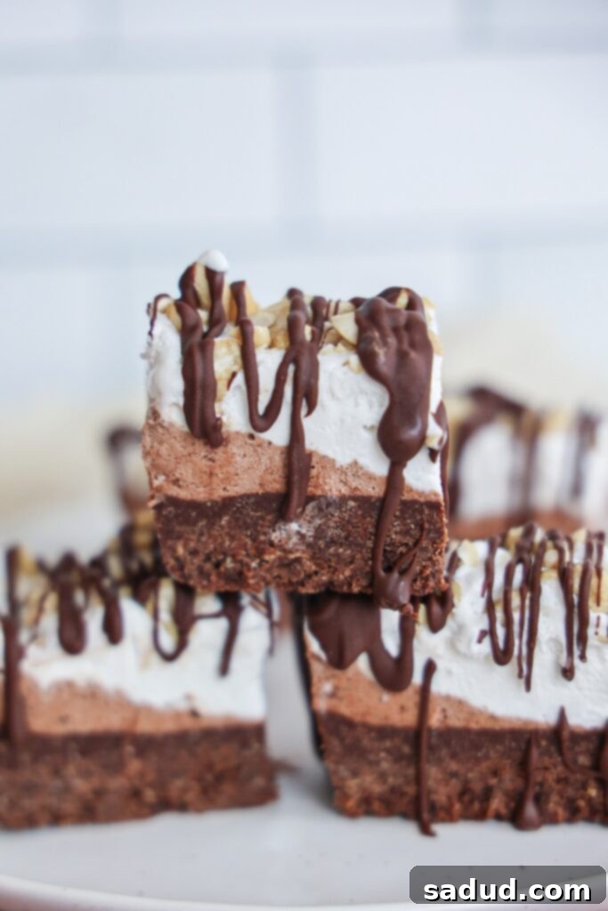 Assortment of No-Bake Ice Cream Brownie Bites, some with chocolate drizzle, others with a full chocolate coating