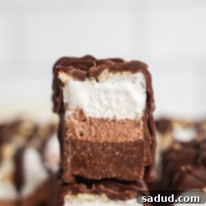 Ice Cream Brownie Bars with a bite taken out