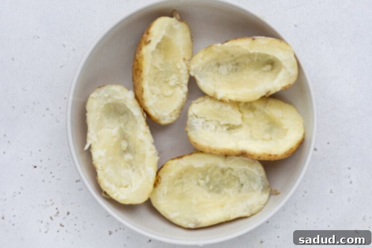 air fryer potato skins step 1
