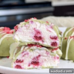 Raspberry Matcha Frozen Yogurt Bites