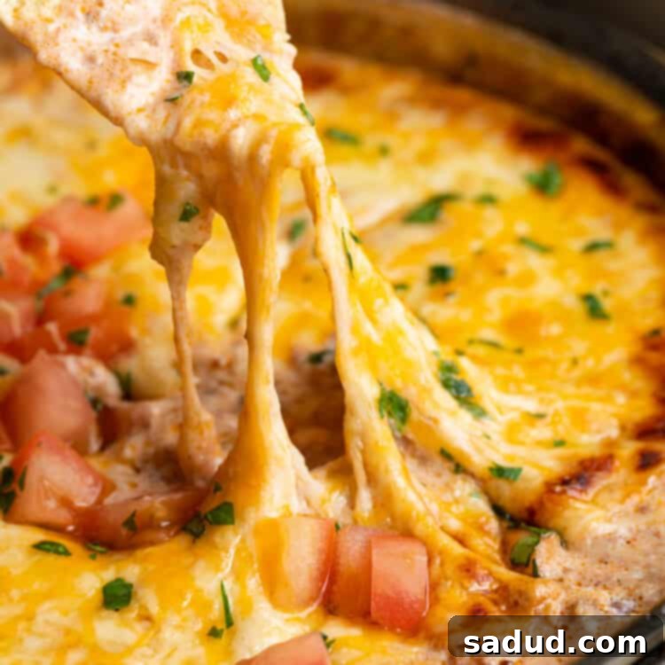 chili cheese dip being scooped up by a chip