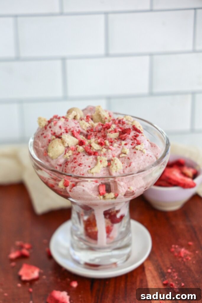 Strawberry protein ice cream made in the ninja creami, without pudding mix.