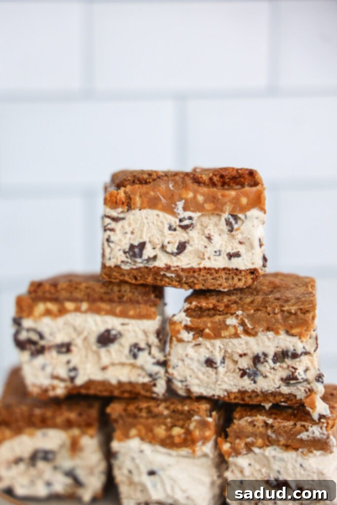 Caramel peanut butter frozen protein s'mores bars with chocolate chips.