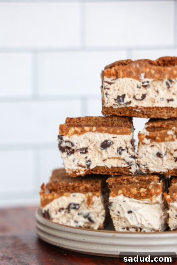 Frozen s'mores bars with peanut butter, chocolate chips, caramel, and homemade graham crackers in a pan.