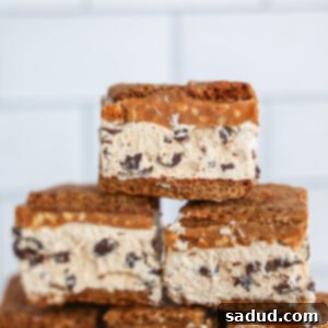 Snickers Protein Frozen S'mores recipe card image.