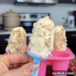 Homemade Raspberry Frozen Yogurt Popsicles