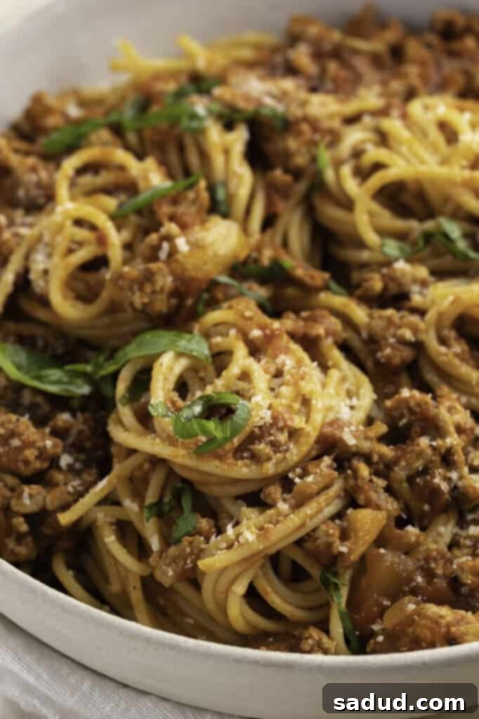 Close-up, 3/4 angle view of a large bowl of turkey spaghetti with basil to garnish.