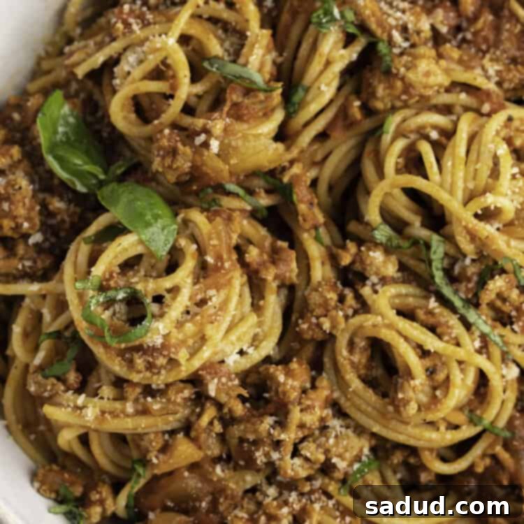Overhead close-up view of a big bowl of turkey spaghetti with basil.