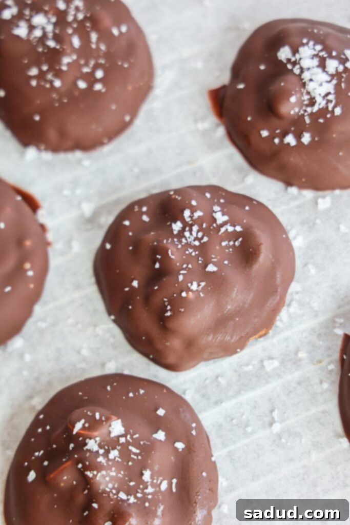 Healthy vegan & gluten-free snickers cookies.