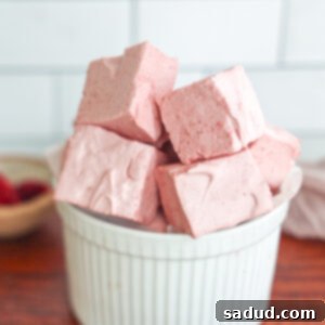 Homemade Gut-Nourishing Raspberry Marshmallows 8 Healthy Homemade Raspberry Marshmallows