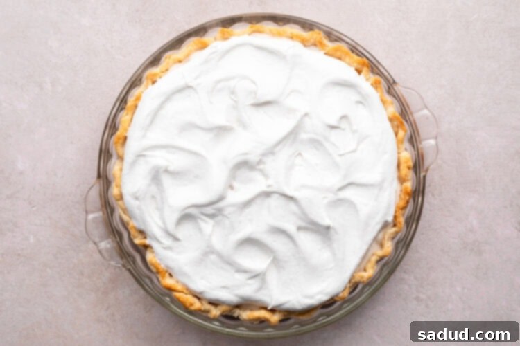 Overhead view of a vegan coconut cream pie topped with coconut whipped cream.