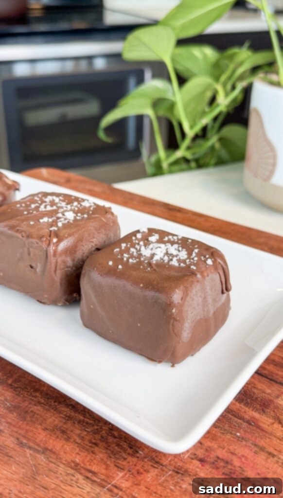 Delicious healthy vegan Klondike bar with vanilla ice cream and chocolate coating, served on a plate.