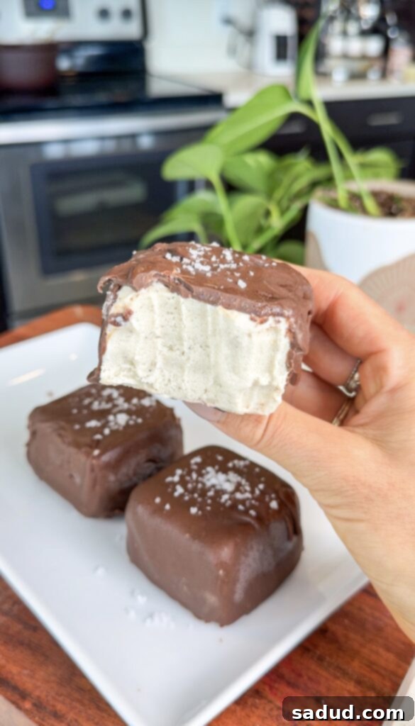 Healthy vegan and paleo ice cream bars with a rich chocolate coating.