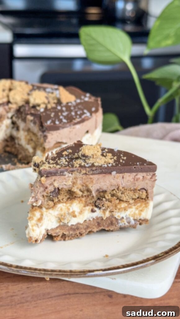 Cookie tiramisu cheesecake (dairy & gluten-free)