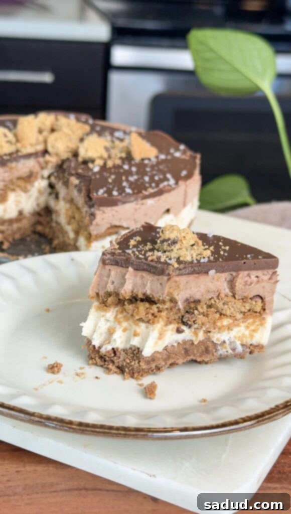 Cookie tiramisu cheesecake (dairy & gluten-free)