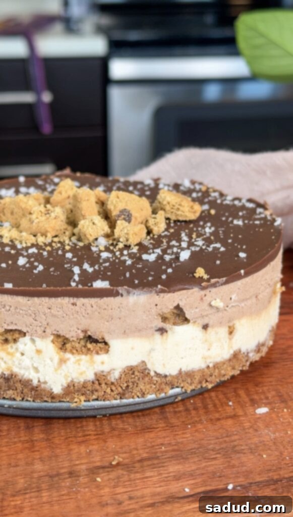 Cookie tiramisu cheesecake (dairy & gluten-free)