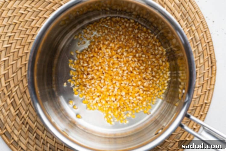 Overhead view of unpopped popcorn kernels in a large silver pot on a wicker placemat.