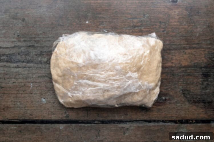 Irresistible Vegan Empanadas 7 Overhead view of a large block of vegan empanada dough wrapped in plastic wrap.