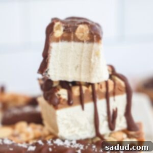 Homemade Snickers Ice Cream Bars
