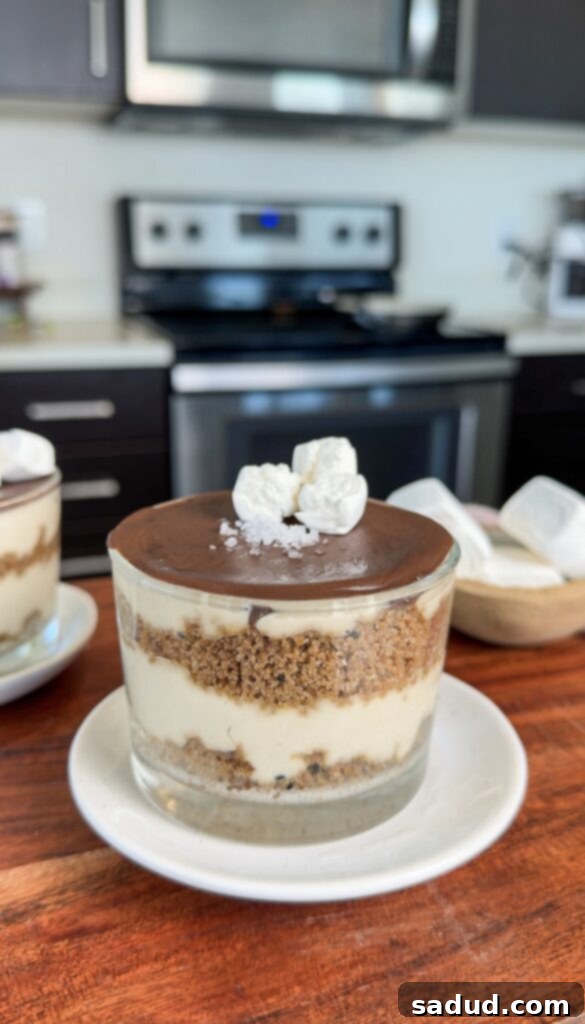 Healthy No-Bake S'mores Cheesecake Cups 2 S'mores cheesecake cups with rich chocolate topping and graham cracker crust