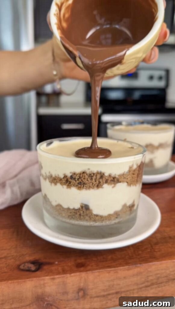 Healthy No-Bake S'mores Cheesecake Cups 4 Summer cheesecake cups ready to serve