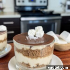 Healthy No-Bake S'mores Cheesecake Cups 5 No-Bake Vegan S'mores Cheesecake Cups