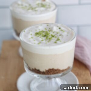 A close-up of a single no-bake vegan key lime pie in a jar, topped with coconut whipped cream and lime zest.