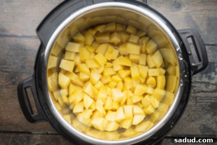 Potatoes and seasoning in Instant Pot.