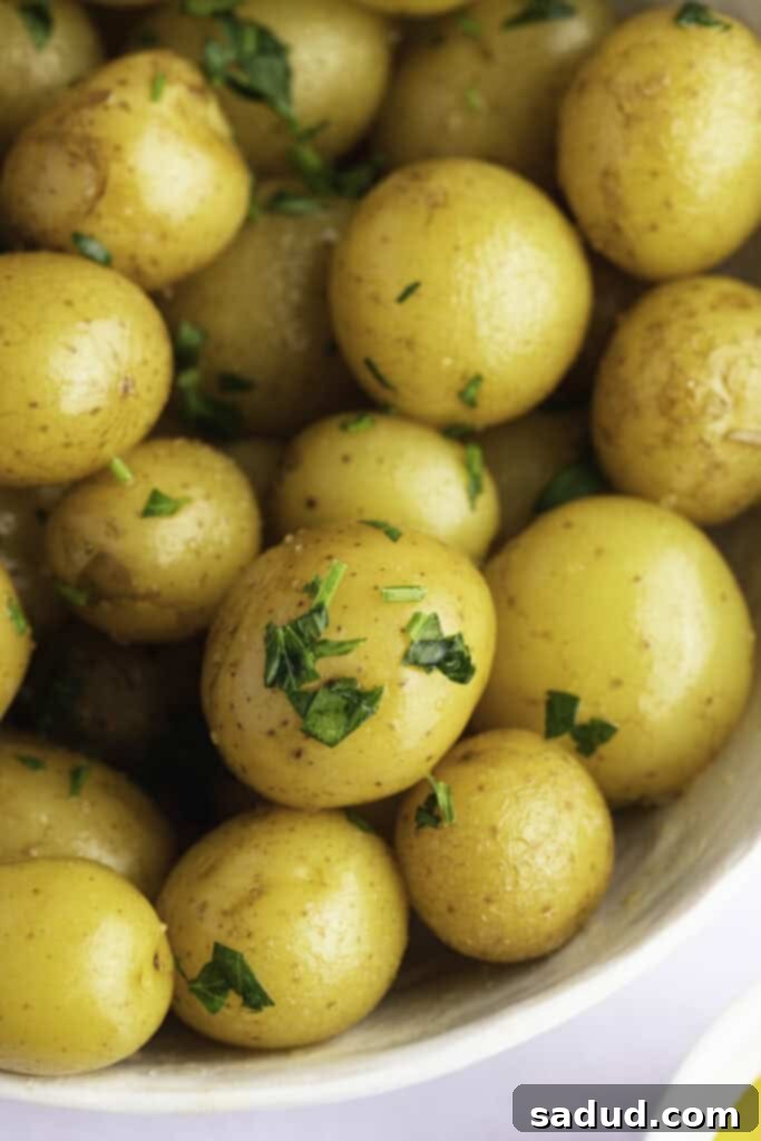 Overhead, close-up view of steamed petite potatoes garnished with freshly chopped parsley, glistening with melted butter.