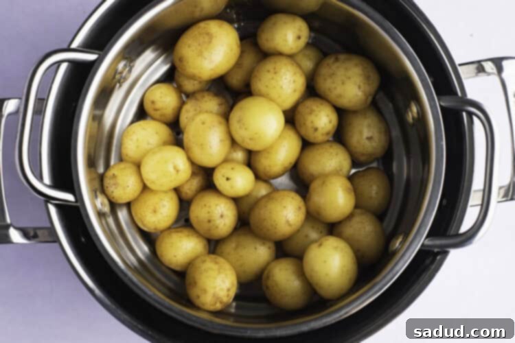 Overhead view of raw petite potatoes in a steamer basket resting in a large pot before steaming.